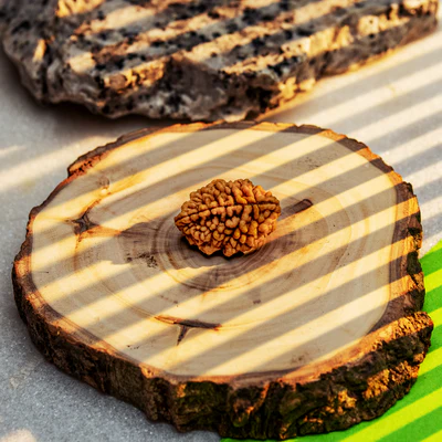 Vrishabha Rashi Yantra